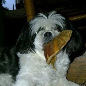 Meet your Posher, Deborah